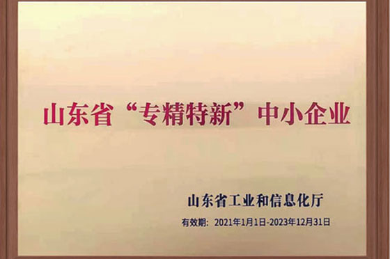 热烈祝贺青岛大东获得了山东省专精特新中小企业